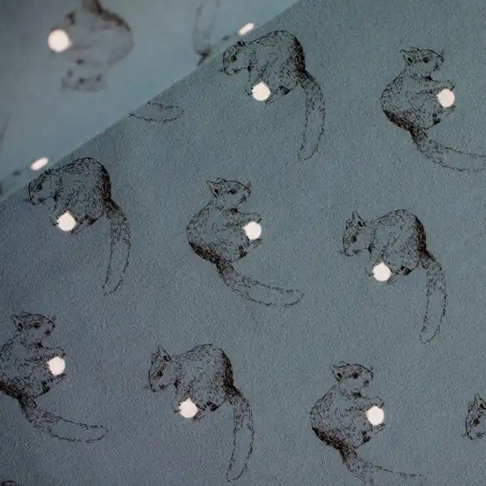 French Terry Blau Eichhörnchen – See You At Six Nur Für Kurze Zeit