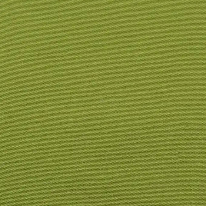 Top-Qualität Liegestuhlstoff einfarbig Anisgrün 44 cm