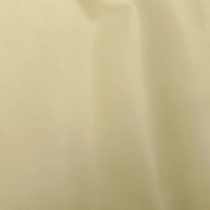 Sofort Bestellen Seidenstoff champagne einfarbig