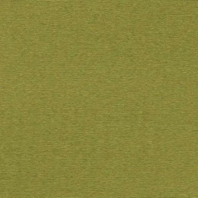 Schneller Versand Baumwoll-Jersey Streifen apfelgrün