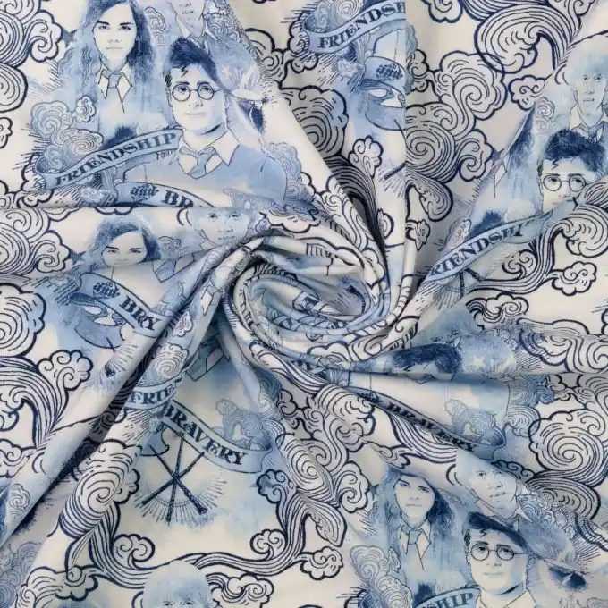 Harry Potter Digitaldruck Jersey Blau 151cm Breite Preiswert