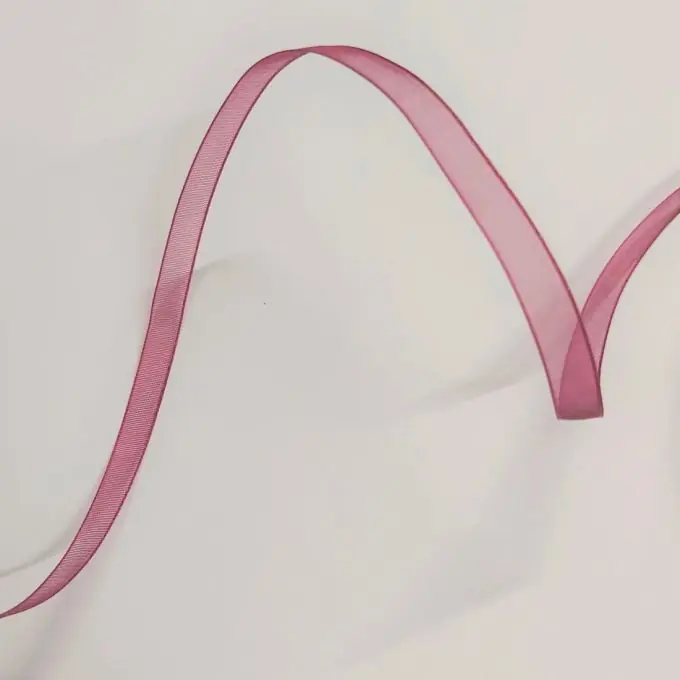 Solange Der Vorrat Reicht Organza ribbon solid 6 mm cherry