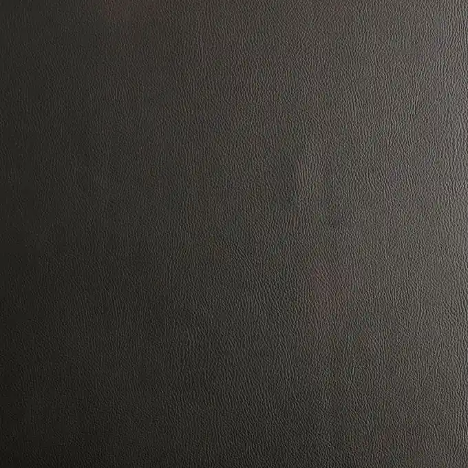 Einfarbiges Kunstleder Karia, schwarz Sichere Zahlung