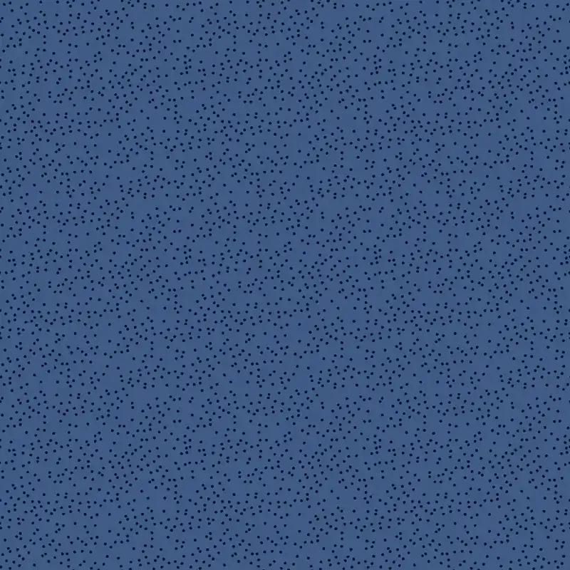 Alison Glass Sunprint Pebbles Uniform Top-Qualität