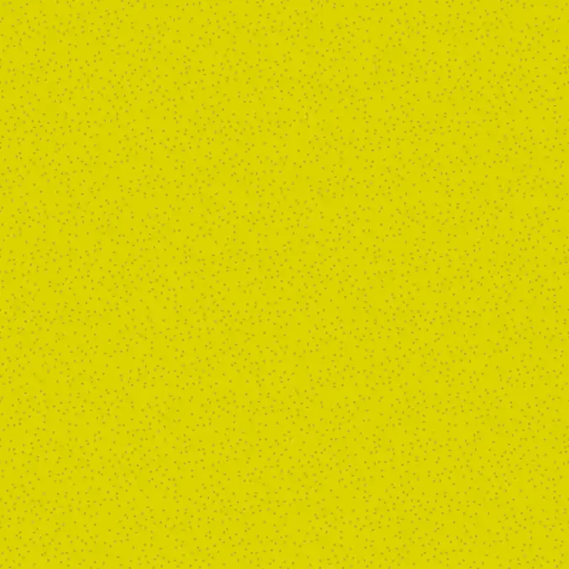 Preisreduziert Alison Glass Sunprint Pebbles Lemon