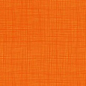 Linea Basic Graphic lines carrot Echt