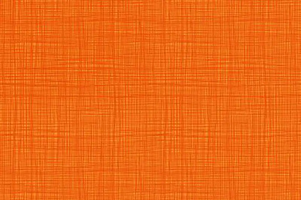 Linea Basic Graphic lines carrot Echt