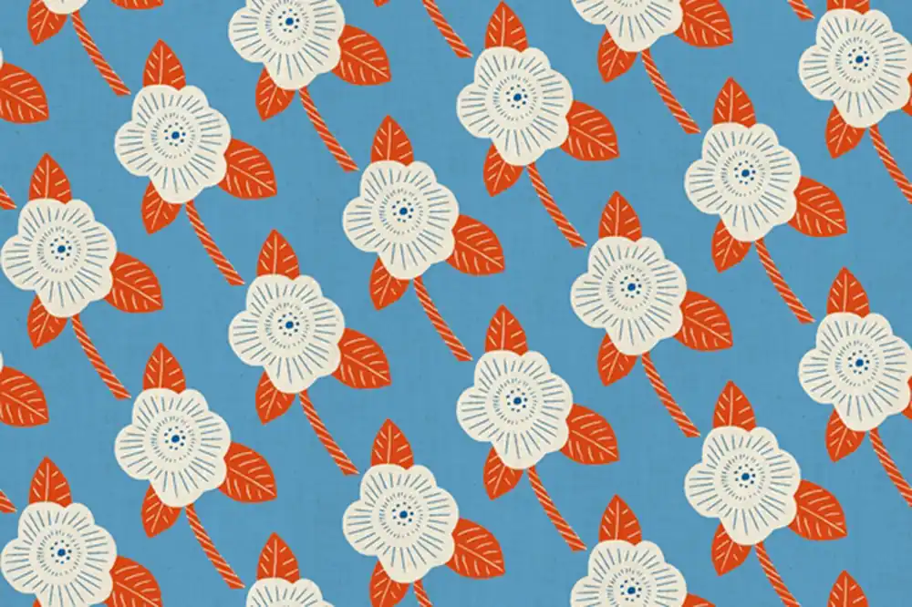 Kibor Chico Blue Geld-Zurück-Garantie