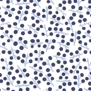 Kracherpreis Find me in Ibiza THE RAIN IN SPAIN Poppy Go Lucky Hazy