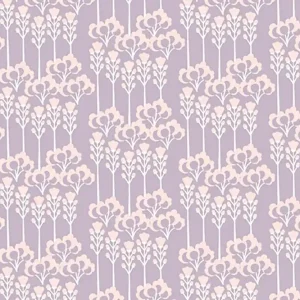 Zertifiziert Sundown Glory by Megan Carter Constance Primrose