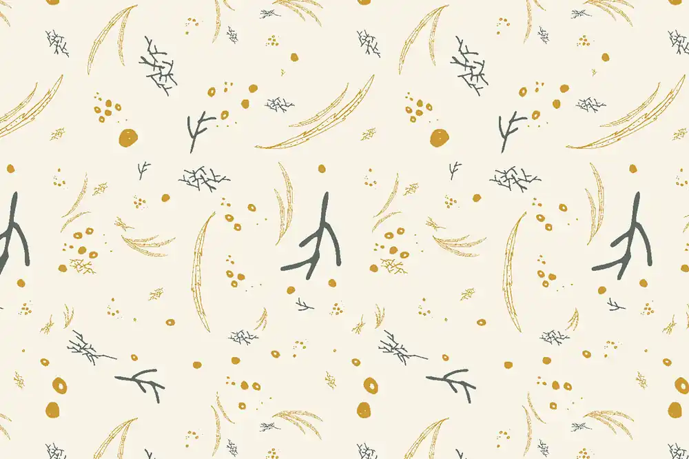 Heute Kaufen Canyon Springs Ash Cascade Understory thaw