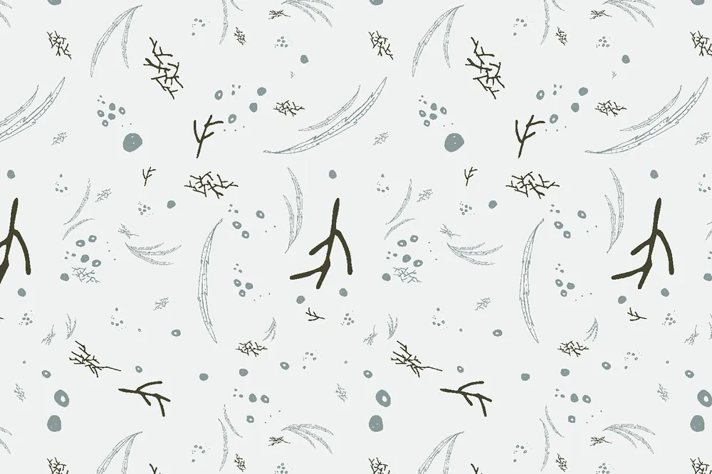 Canyon Springs Ash Cascade Understory Misty Blue Preiswert