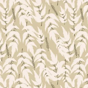 Versand Am Gleichen Tag Canyon Springs Ash Cascade Ponderosa Earth