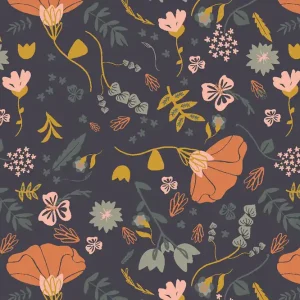 Canyon Springs Ash Cascade Canyon Poppy Evening Sky Nur Heute