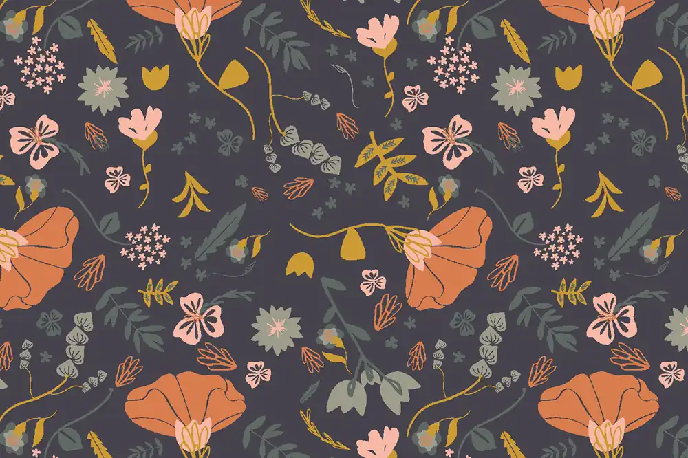 Canyon Springs Ash Cascade Canyon Poppy Evening Sky Nur Heute