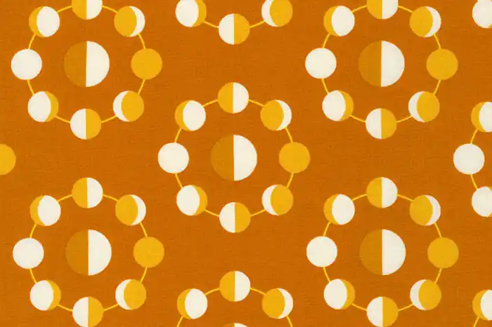 Elizabeth Hartman Planetarium Moons spice Top-Qualität