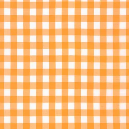 Elizabeth Hartman Kitchen Window Wovens Gingham goldfish Expressversand