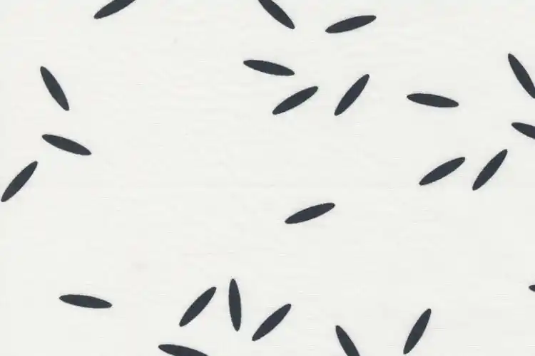 Direkt Vom Hersteller Filigree by Brigitte Heitland Rice Off White