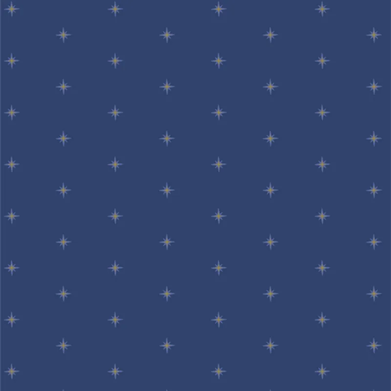 Art Gallery Maureen Cracknell Starling SHINING STARDUSK Nur Für Kurze Zeit