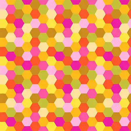 Kracherpreis Anna Maria Parry Piecework Hexagons Citrus