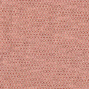 Cotton and Steel Basics Canvas Mishmesh Sherbet Meistverkauft