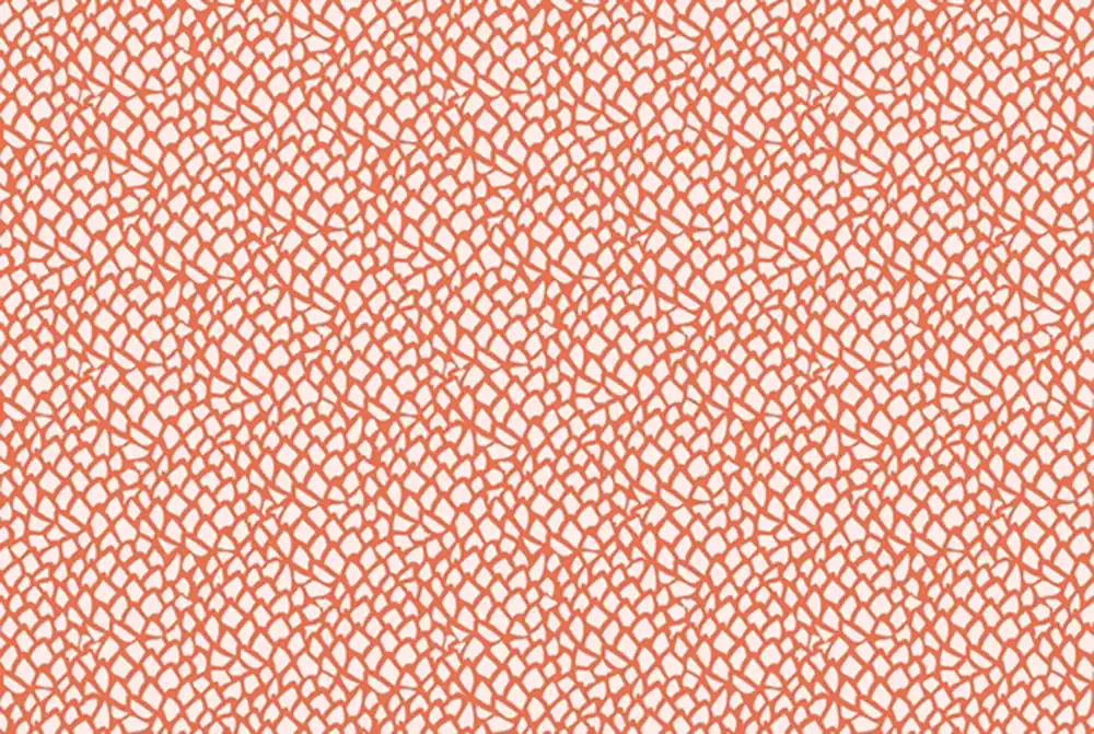 All Through the Land Amelie Mancini Moss Burning Sun Großhandel