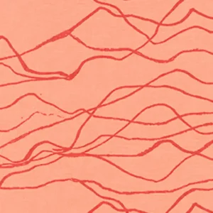 Gleich Bestellen Quarry Trail by Anna Graham noodlehead Quarry mango