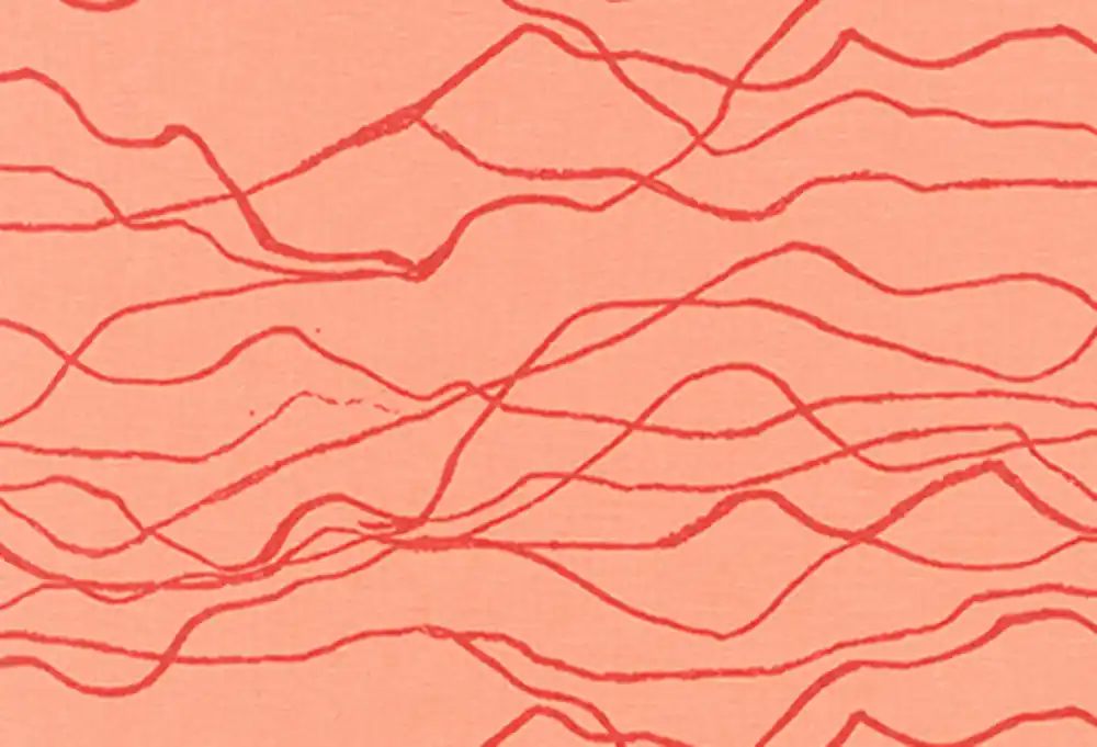 Gleich Bestellen Quarry Trail by Anna Graham noodlehead Quarry mango