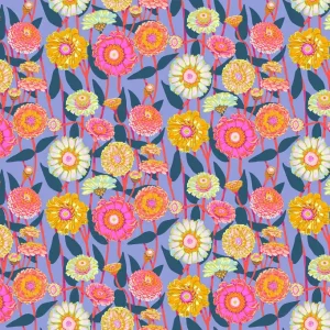 Garantierte Lieferung Anna Maria Parry Jumpstart Zinnia Show Glow