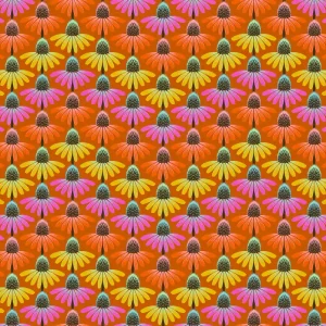 Anna Maria Parry Perennial Borders Echinacea Rhythm Fire Garantierte Lieferung