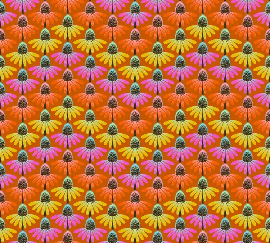 Anna Maria Parry Perennial Borders Echinacea Rhythm Fire Garantierte Lieferung