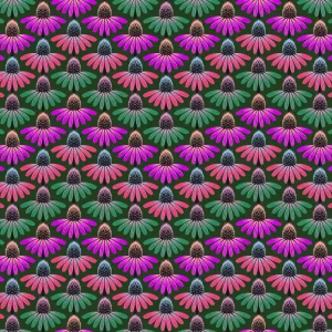 Anna Maria Parry Perennial Borders Echinacea Rhythm Forest Direktkauf