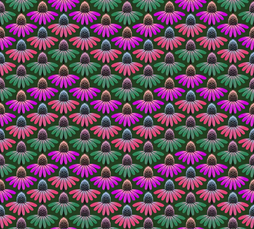 Anna Maria Parry Perennial Borders Echinacea Rhythm Forest Direktkauf