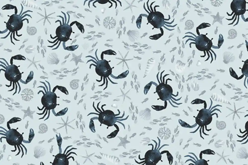 Letzte Chance Hooked on a Feeling Dear Stella Oh Crab