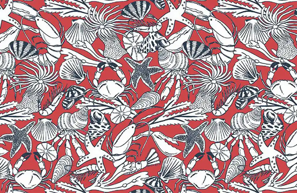 Kostenloser Versand Bootylicious Dear Stella Pirate Soup Poppy