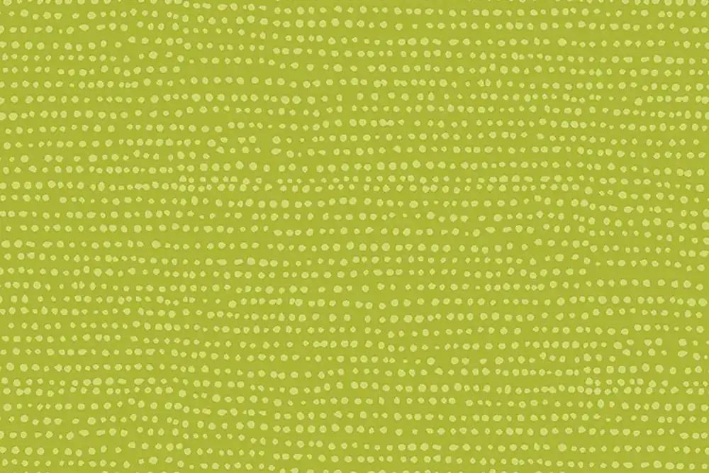 Bestpreis Dear Stella Moonscape – chartreuse