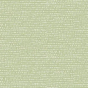 Dear Stella Moonscape - reed Ausverkauf