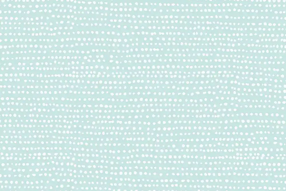 Dear Stella Moonscape mint Garantierte Lieferung