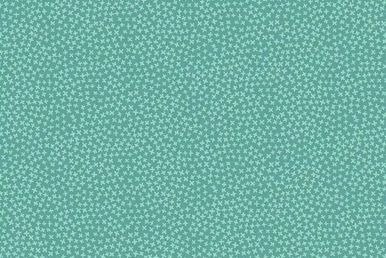 Jax Basic Sterne Stars parakeet Direktkauf