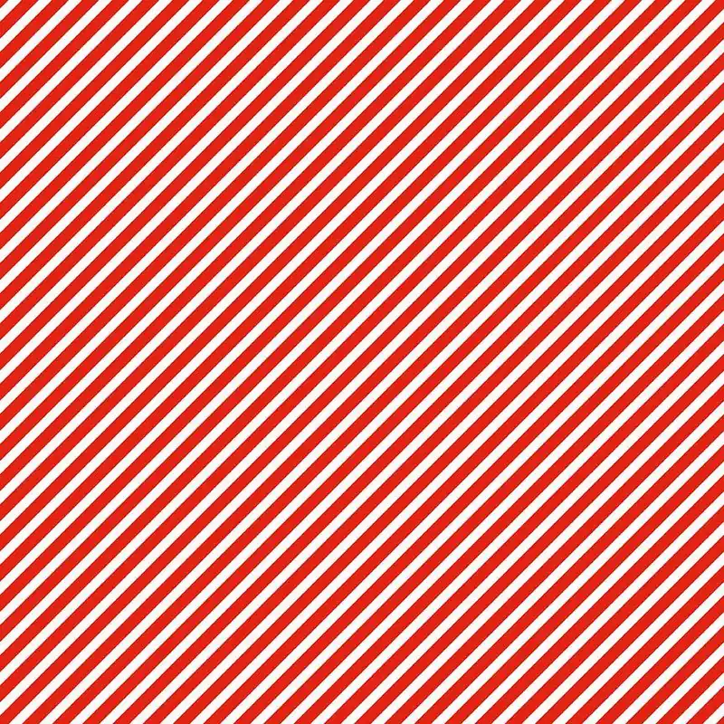 Dear Stella Fabrics Cat’s Pyjama Bias Mandarine Exklusiv