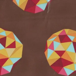 Laminated cotton Tula Pink Birds&the Bees Meteor shower brown Highlight