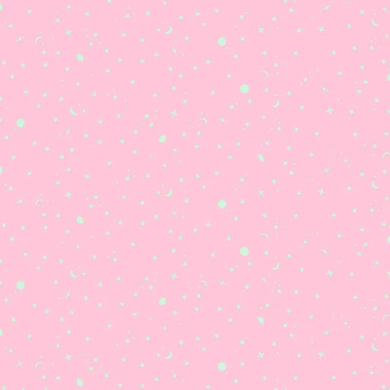 Online Kaufen Tula Pink Full Moon Forest II True Colors Space Sprinkles Piglet