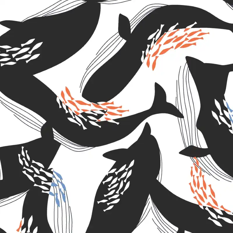 Gratis Versand Cloud9 CANVAS Ophelia Pang Happy Whales