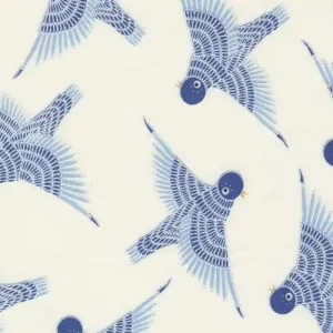 Gingiber Birdsong Birds in Flight Bluebird Aktuell