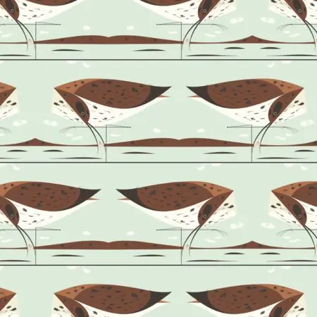 Schnäppchen Birch Popeline Charley Harper Coastal Curlew