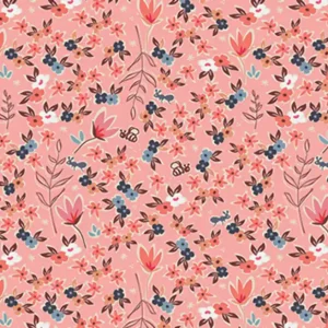 Amy Sinibaldi Charleston Garden of Dreams Rose Saisonangebot