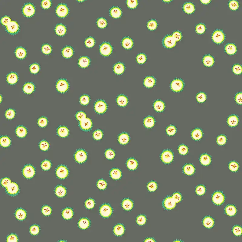 Wochenendangebot Heather Ross Forestburgh Firefly dark grey