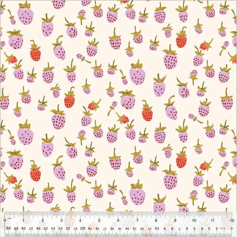 Online Kaufen Heather Ross Studio Edit MINKY Strawberries