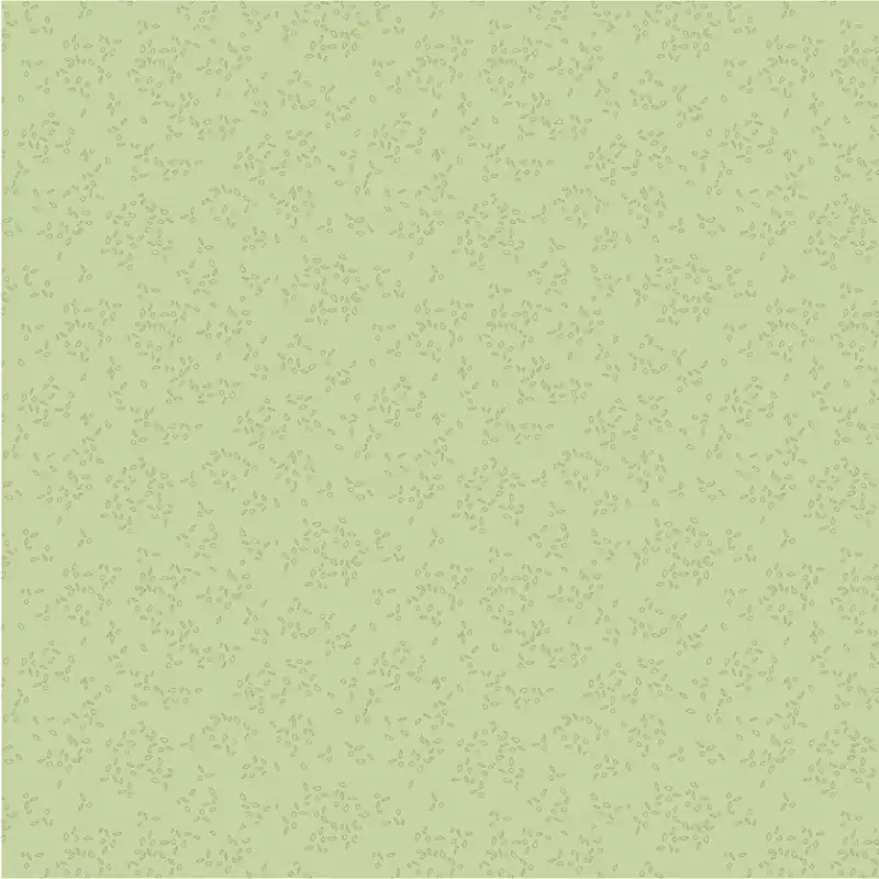 Windham Fabrics Nature Study 2.0 Petal Basil Markenware