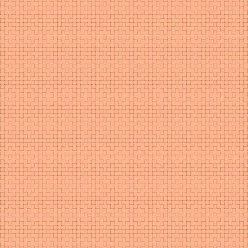 Windham Fabrics Nature Study 2.Rattan Beetroot Letzte Chance